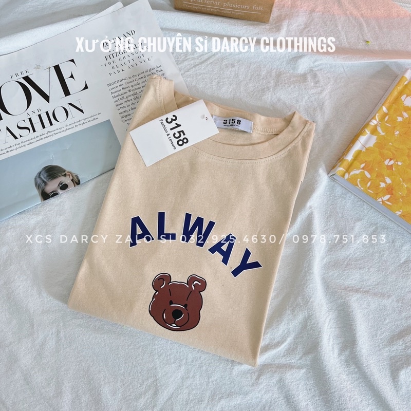 Áo thun 3158 ✨ FREESHIP ✨ áo thun Gấu alway dễ thương áo phông cotton nam nữ