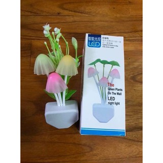 Đèn ngủ cây nấm Hoadien1