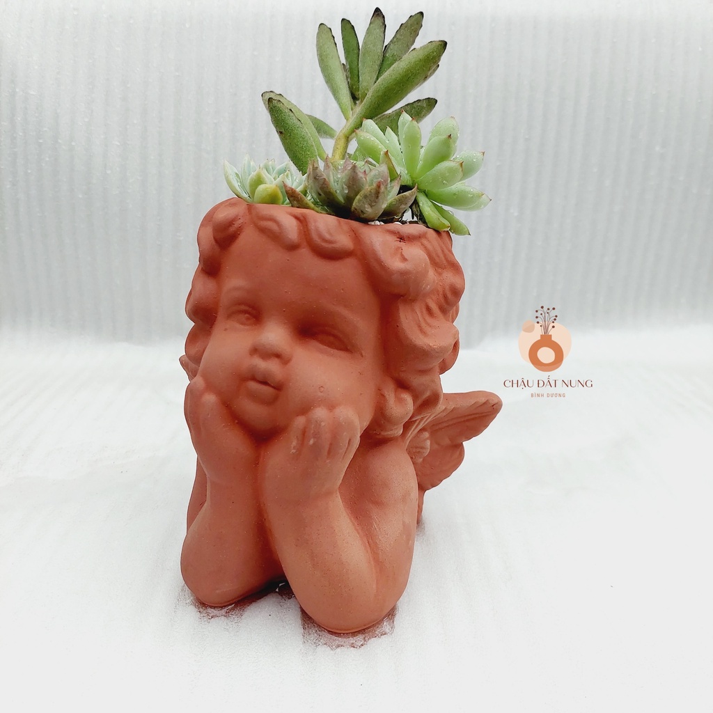 Chậu đất nung, Chậu sen đá - Thiên Thần 817, đường kính miệng 8cm, chiều cao 17cm