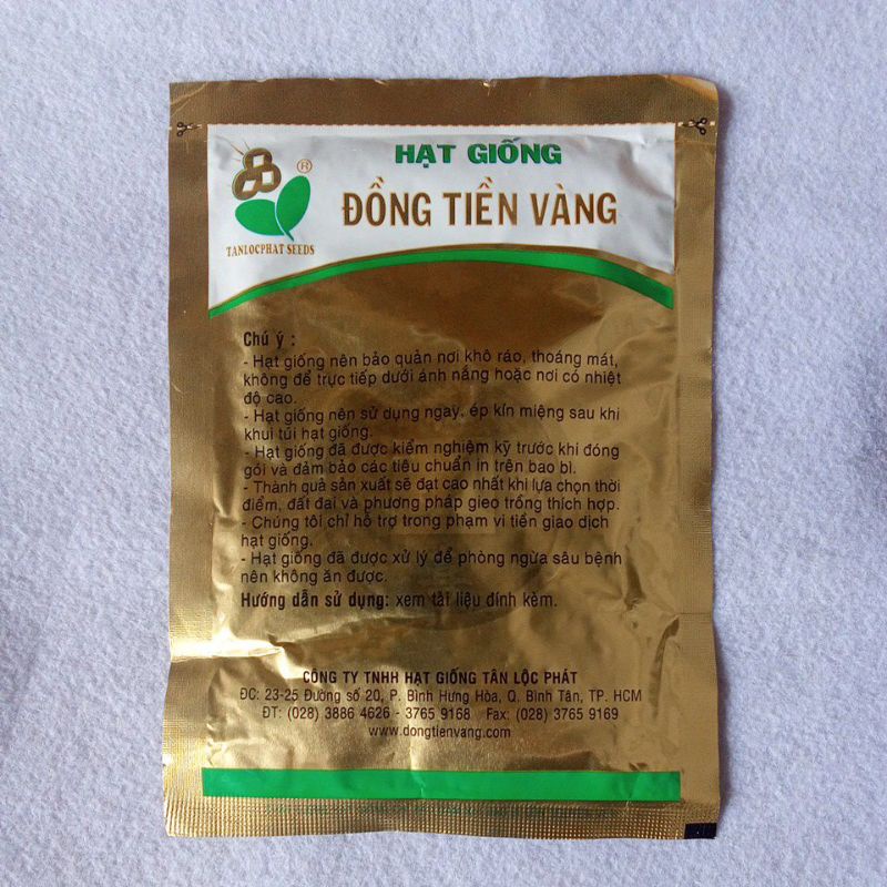 Hạt giống đậu bắp trắng TLP -18