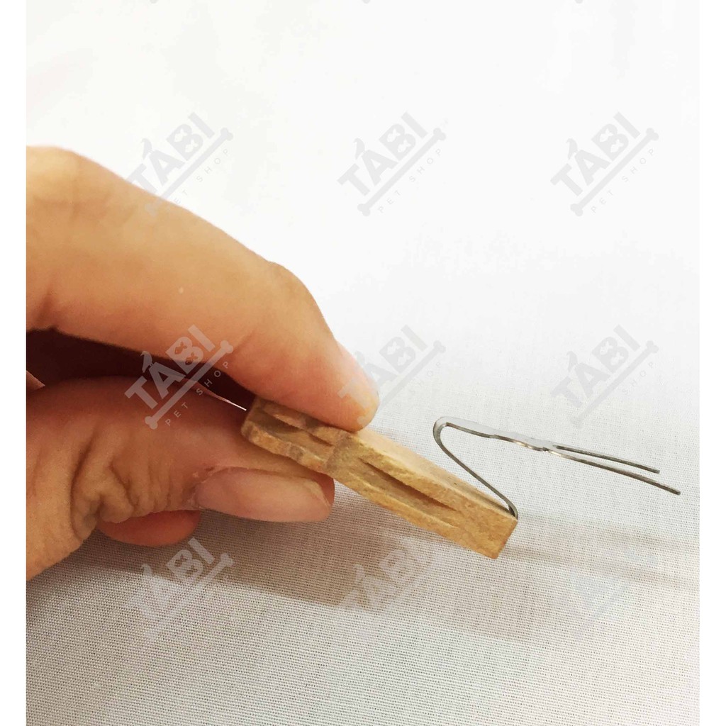 [NHẬN QUÀ KHI MUA ĐƠN 99K] Đồ Ghim Trái Cây Lồng Chào Mào, Khoen Đồng Giá [GHIM TRÁI CÂY]