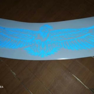 Tem đại bàng phản quang