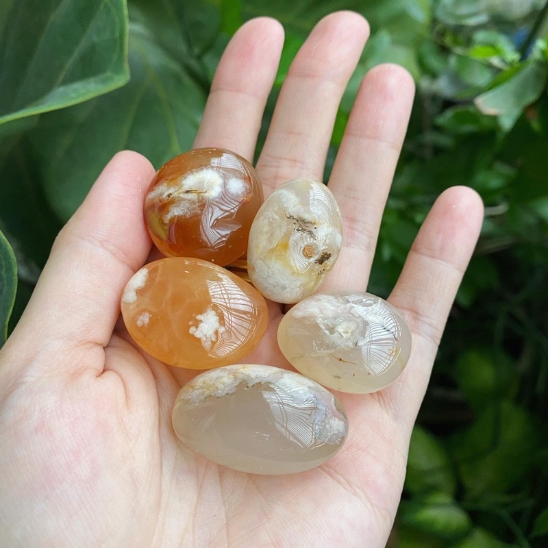 Đá Cherry Blossom Flower Agate vân hoa hồng đào tự nhiên - Tumbled, trụ, bi, cube đá trang trí thanh tẩy Madagascar