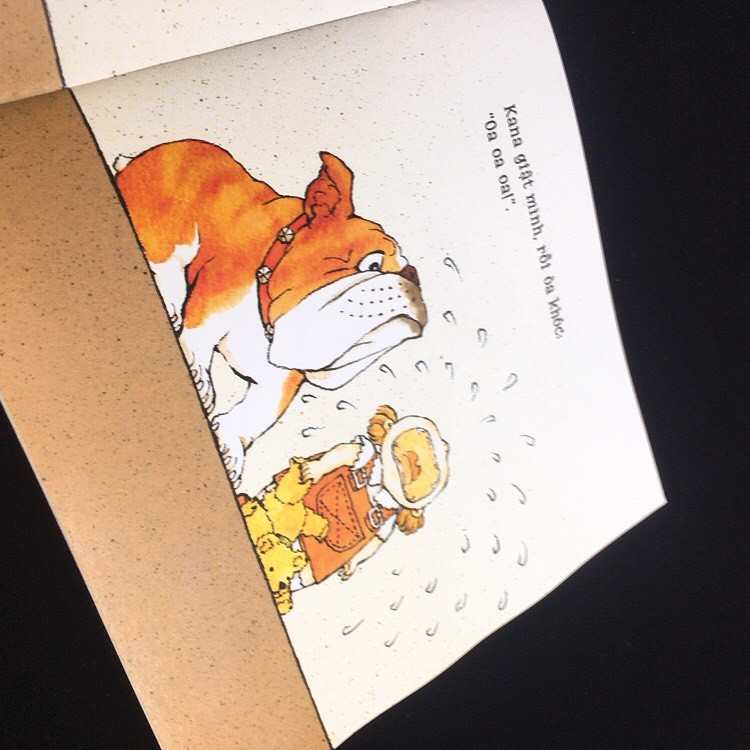 Sách - Combo 2 cuốn Ehon Nhật Bản: Bull chơi trốn tìm, Bull và Kana (dành cho bé 3-6 tuổi)