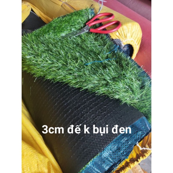 Thảm cỏ nhân tạo 3cm