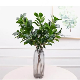 🍀 Cành Lá Chè - Cành Lá Giả dài 70cm gồm 5 nhánh decor siêu đẹp giống thật 100%