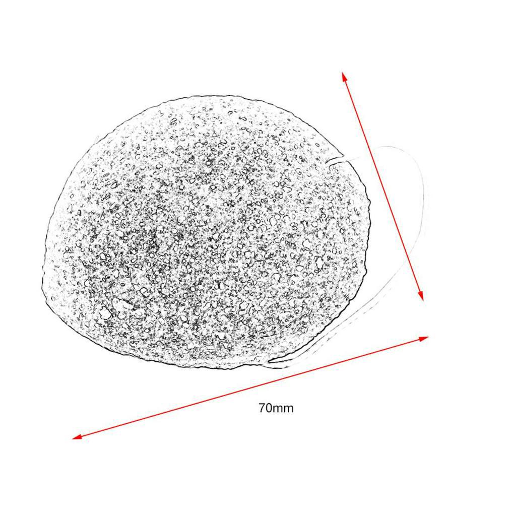 Bọt biển rửa mặt konjac thiên nhiên chăm sóc da