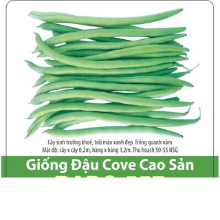 Hạt Giống Đậu Cove Cao Sản Giòn Ngọt 20gr