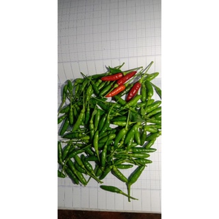 100g ớt hiểm ớt thóc ớt chim ăn
