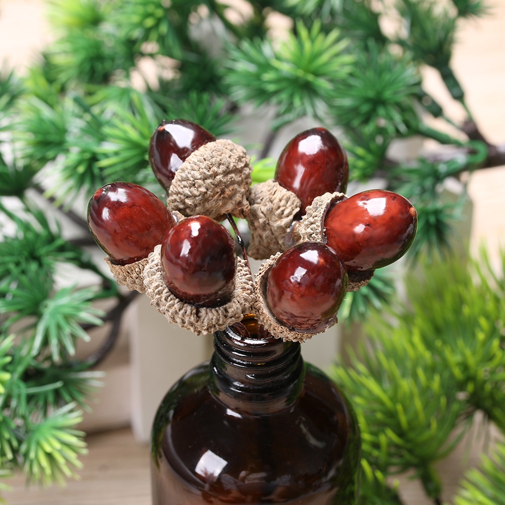 Bộ 6 nhánh cây hạt thông khô dùng làm đồ thủ công trang trí nhà/tiệc/lễ hội đẹp mắt DIY