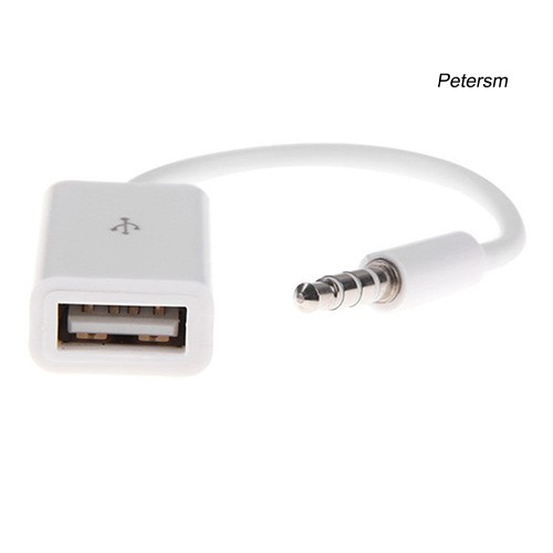 Cáp Chuyển Đổi Âm Thanh Mp3 Đầu Cắm 3.5mm Sang Cổng Usb 2.0 Cho Xe Hơi