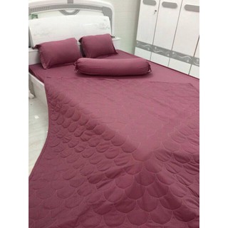 [SIÊU SALE] [HỔ TRỢ PVC] Xả kho bộ drap giường thun Hàn Quốc mềm mịn, bộ ga giường nhiều mẫu lựa chọn