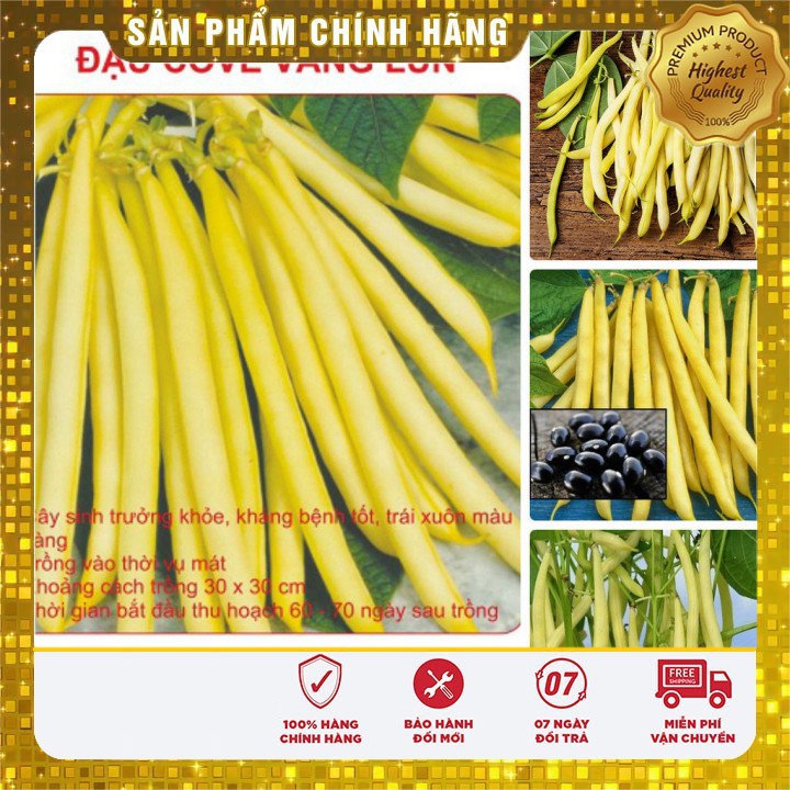Hạt giống đậu cove vàng (50Gr)