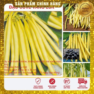 Hạt giống đậu cove vàng