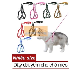 Dây dắt kèm yếm vải bò cho chó mèo 5-20kg - giao màu ngẫu nhiên