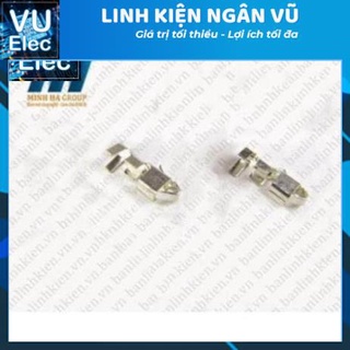 Lõi Header SM Cái SM-Y (10 chiếc)