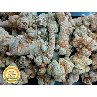 CỦ TAM THẤT BẮC KHÔ