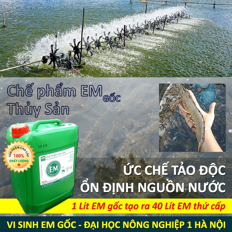 Chế phẩm sinh học EM gốc dùng cho Thủy sản (nuôi Tôm, Cá..)