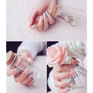 Bút cọ nét vẽ dài 7mm 11mm vẽ nét