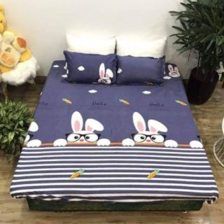 Ga gối cotton poly