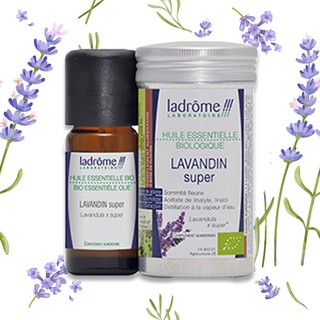 Tinh Dầu Organic Lavendin Super