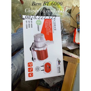 Bơm by 6000