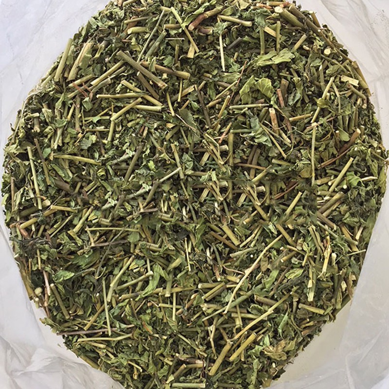 Cây xương khỉ khô [1kg] - Giúp mát gan - lợi tiểu - ngừa ung thư
