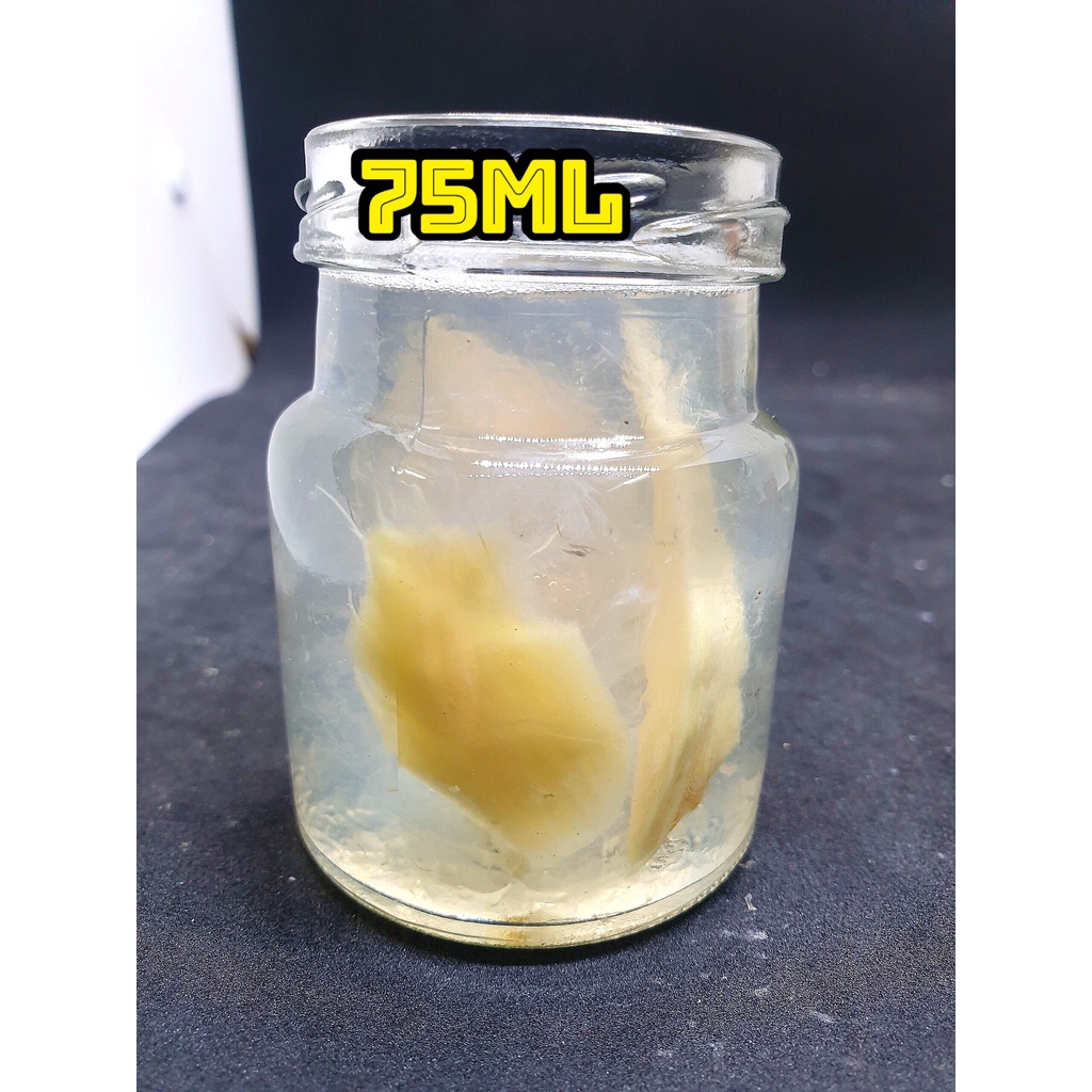 Yến hũ chưng sẵn 75 ML - [8gr yến tươi] [Có Quà Chưng ] YẾN SÀO CÔ BA