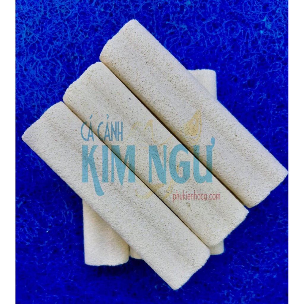 Sứ Thanh Hoa Mai Vàng Lọc Nước Hồ Cá 15*3.5*3.5 cm