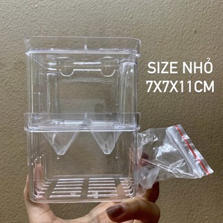 [chọn size] Lồng Ép Cá Đẻ, Tách Cá Bệnh