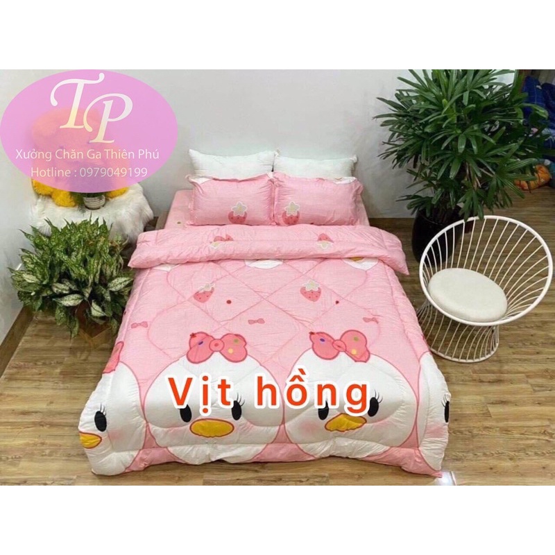 ❤️Bộ Chăn Ga Gối 5 Món Chăn Phao Hồng Cute Đáng Yêu