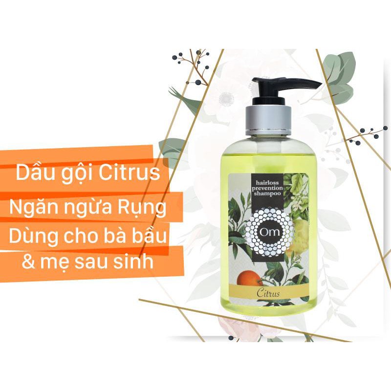 Dầu gội trị rụng và kích mọc tóc [CÓ TEM CHỐNG HÀNG GIẢ] | BigBuy360 - bigbuy360.vn