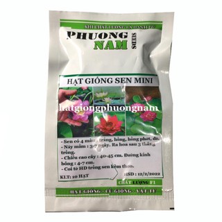 10H - hạt giống hoa sen mini Nhật