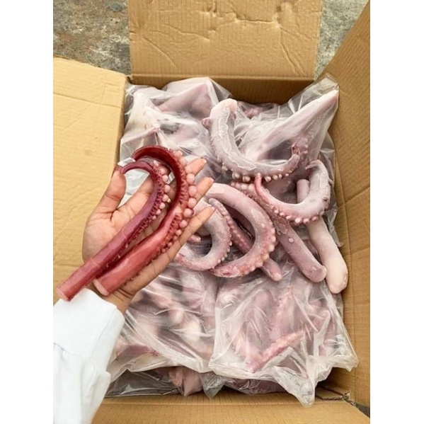 Sỉ 1kg râu bạch tuộc