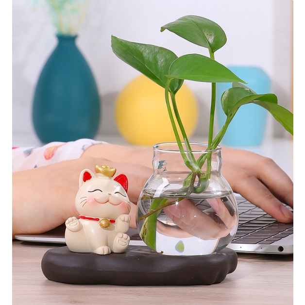 Lọ thủy tinh trồng cây thủy sinh kèm chú mèo may mắn đáng yêu mang lại năng lượng tích cực, gồm bình đế mèo