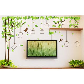 Decal dán tường Cây khung ảnh to nhất - vườn cây kỷ niệm