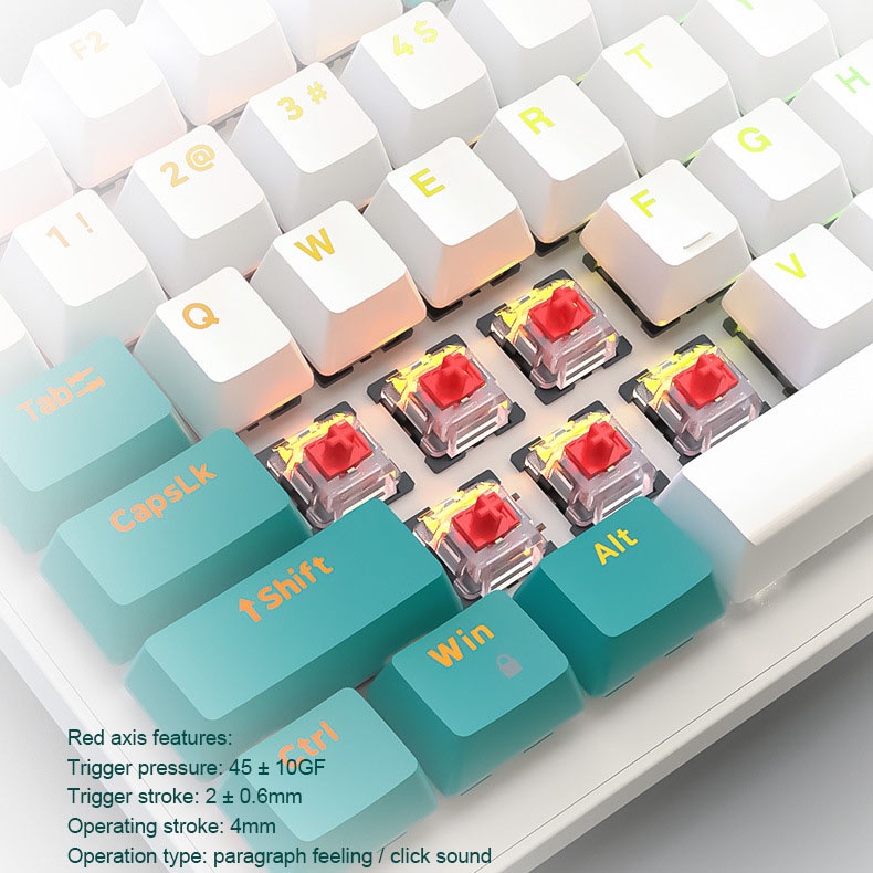 Bàn phím cơ rgb led K3 ZIYOU LANG Switch Blue 100 phím Bàn phím máy tính / 3C10