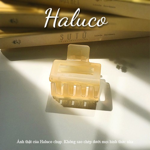 Kẹp tóc càng cua phong cách Hàn Quốc nhiều màu xinh xắn cho nữ Haluco accessories KT05