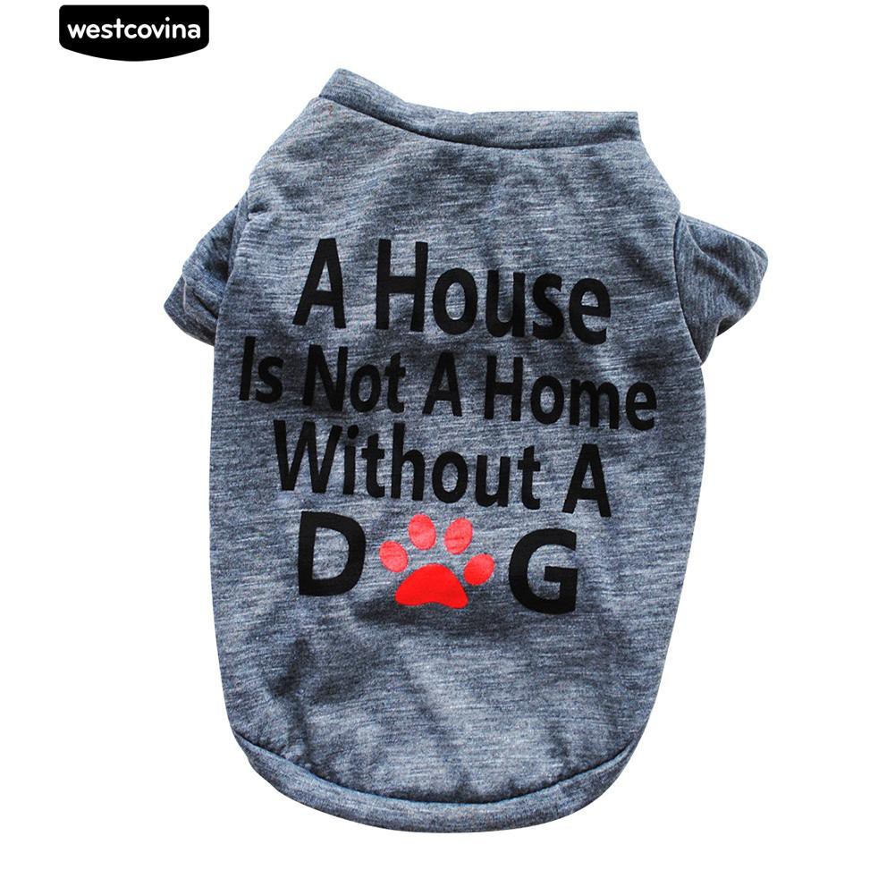 Áo in chữ tiếng Anh thời trang dành cho cún