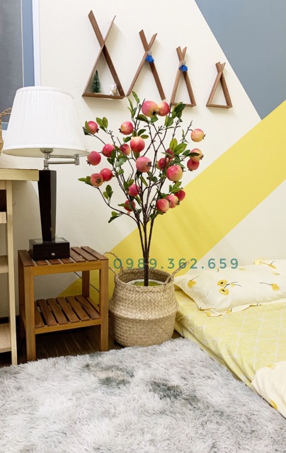 Giỏ cói size 20 25 30