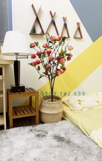Giỏ cói size 20 25 30