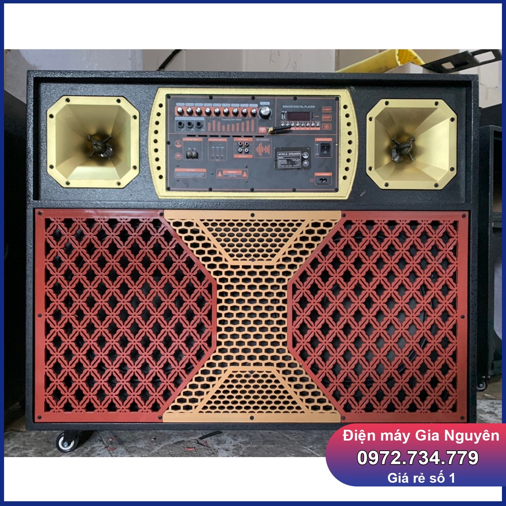 Loa bình 4 tấc đôi bo DSP Reverbx300W, kèn 450, coil 65x2, trung 12x2, kèm 2 micro UHF xịn, bảo hành 12 tháng