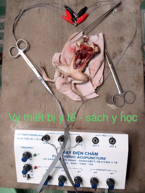 Bộ thực tập mổ ếch dành cho các bạn sinh viên Y.