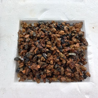 sỉ than tổ ong[500g ]