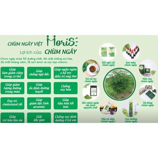 [MoriS] Bột chùm ngây sấy lạnh 100gr