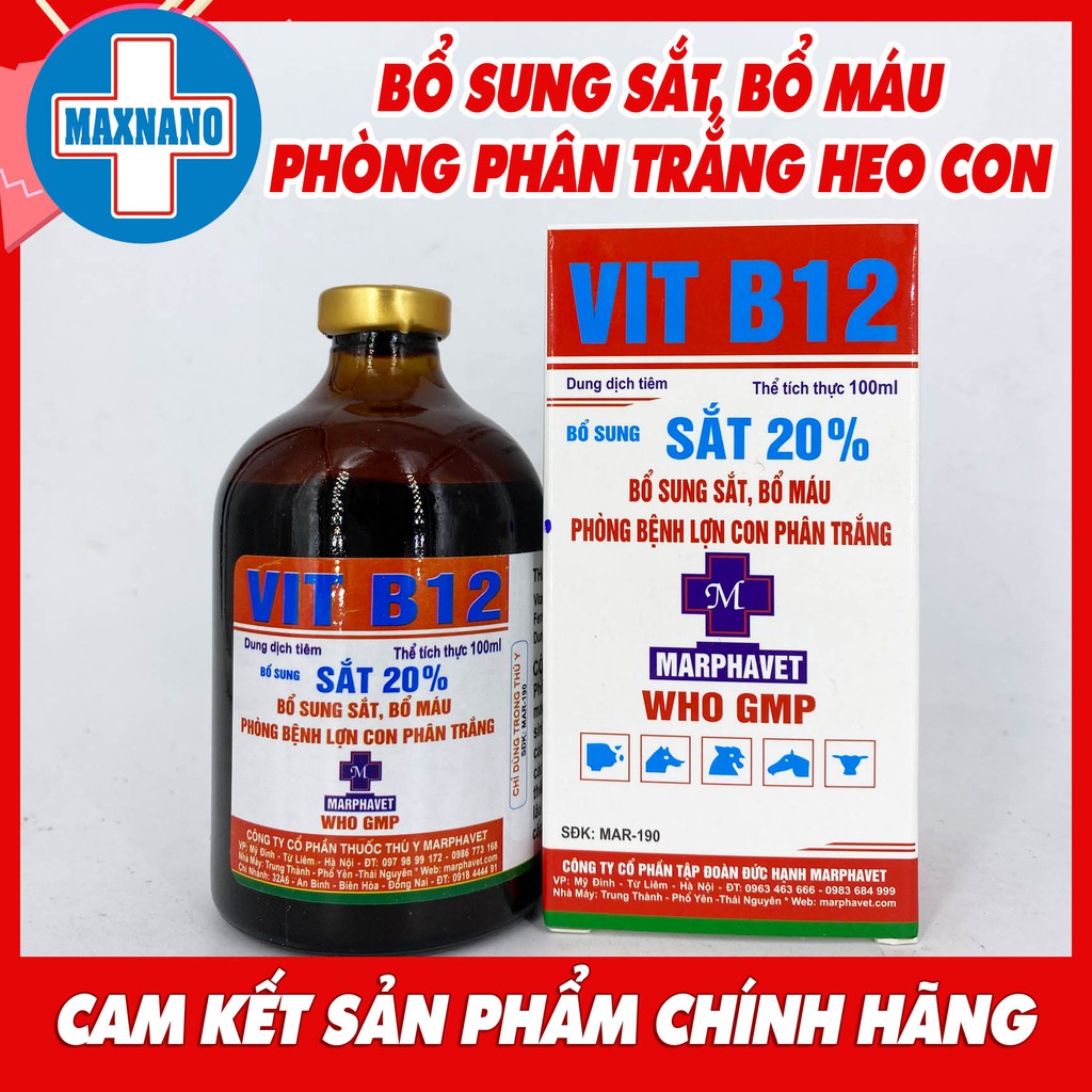 [CHÍNH HÃNG] Hộp SẮT 20% VIT B12 100ml Phòng thiếu máu do thiếu sắt, nâng cao sức đề kháng ở vật nuôi, heo con, heo nái