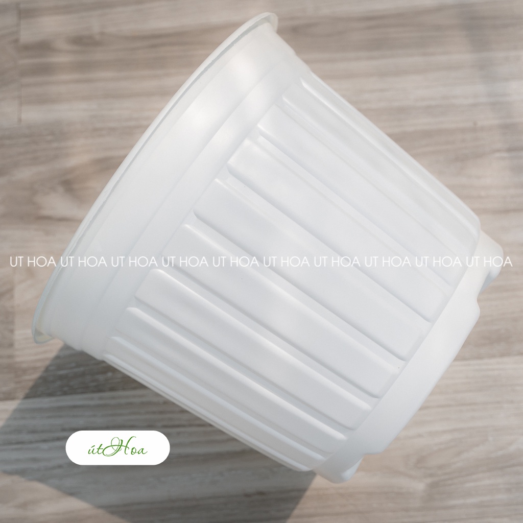 Chậu nhựa trắng T26  trồng cây, trồng hoa Nhựa cao cấp