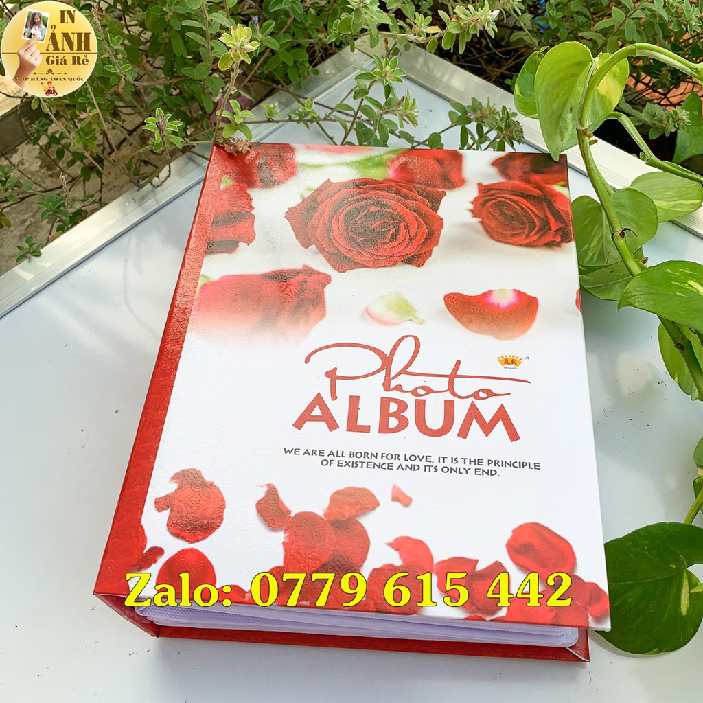 Album đựng 304 ảnh 10x15 bìa giấy cứng | BigBuy360 - bigbuy360.vn