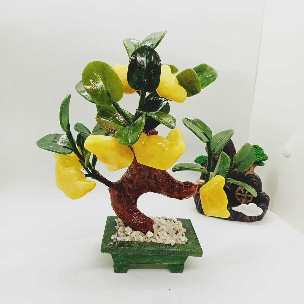 Cây Tài Lộc - Cây Kim Tiền Thỏi vàng Đá Ngọc Hoàng Long - Cao 25cm