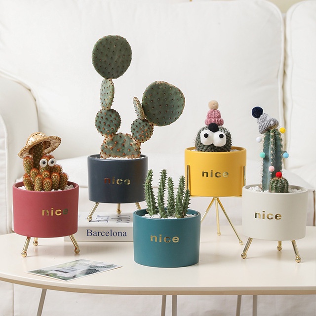 Chậu hoa nhiều màu phong cách Bắc Âu dùng để decor, trang trí nhà cửa  làm bằng gốm sứ cao cấp